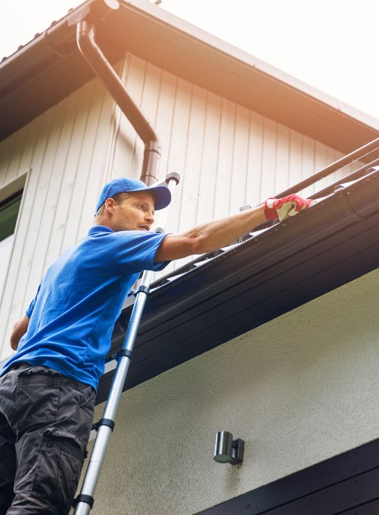 Design sem nome (80)