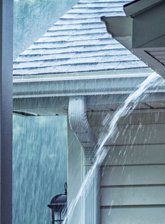 Design sem nome (81)